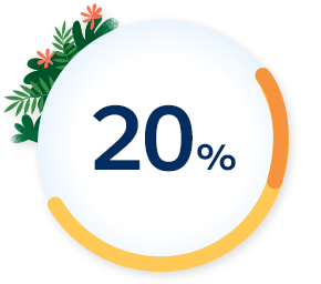 20％